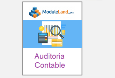 Auditoria Contable